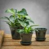 Scalloped Tapered Plant Pot With Saucer - Dark Blue -KANG Plants Shop pr2000035580
