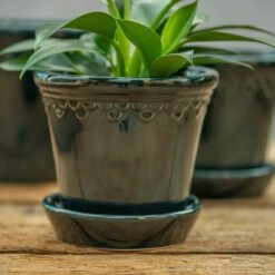Scalloped Tapered Plant Pot With Saucer - Dark Blue -KANG Plants Shop pr2000035580 card3 lg