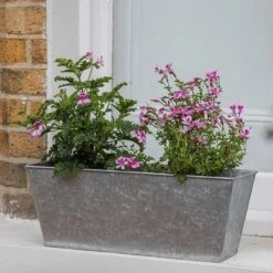 Galvanised Window Trough -KANG Plants Shop pr2000035781 card6 lg