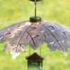 Brushed Copper Weather Shield -KANG Plants Shop pr2000037221
