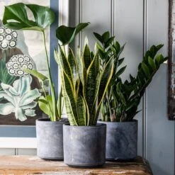 Ceramic Plant Pot - Charcoal -KANG Plants Shop pr2000037256 card2 lg