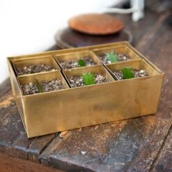 Brass Tray With 6 Brass Grow Pods 16 Brass Tray With 6 Brass Grow Pods -KANG Plants Shop pr2000037485 card7 lg