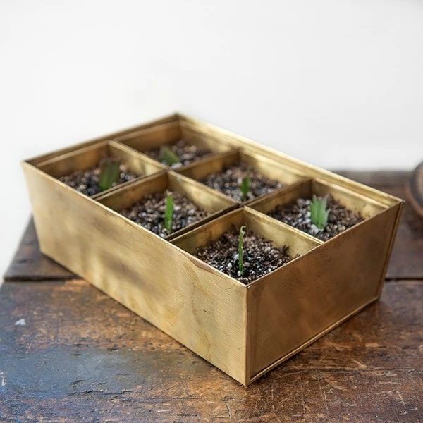 Brass Tray With 6 Brass Grow Pods 10 Brass Tray With 6 Brass Grow Pods - Image 8