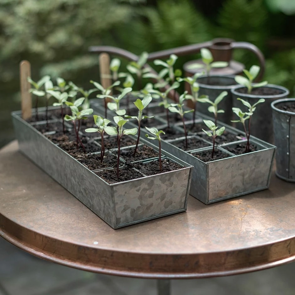 Galvanised Tray With 12 Grow Pods 3 Galvanised Tray With 12 Grow Pods