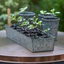 Galvanised Tray With 12 Grow Pods 9 Galvanised Tray With 12 Grow Pods -KANG Plants Shop pr2000037486 card2 lg