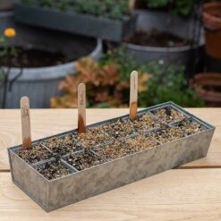 Galvanised Tray With 12 Grow Pods 13 Galvanised Tray With 12 Grow Pods -KANG Plants Shop pr2000037486 card7 lg