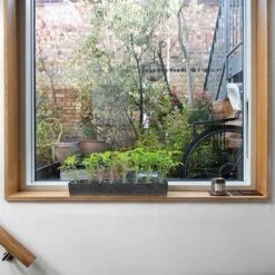 Galvanised Tray With 16 Grow Pods 11 Galvanised Tray With 16 Grow Pods -KANG Plants Shop pr2000037487 card2 lg