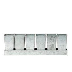 Galvanised Tray With 6 Tall Root Trainer Pods -KANG Plants Shop pr2000037489 card3 lg