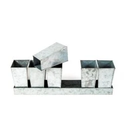 Galvanised Tray With 6 Tall Root Trainer Pods -KANG Plants Shop pr2000037489 card4 lg