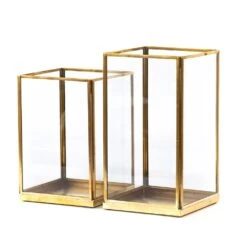 Simple Terrarium / Tealight Holder With Tray Base -KANG Plants Shop pr2000037497 card6 lg