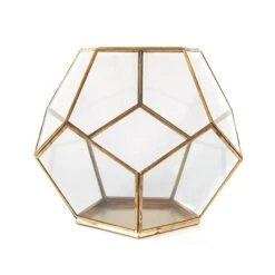 Pentagon Terrarium With Tray Base 8 Pentagon Terrarium With Tray Base -KANG Plants Shop pr2000037499 card2 lg