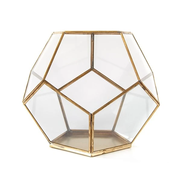 Pentagon Terrarium With Tray Base 4 Pentagon Terrarium With Tray Base - Image 2