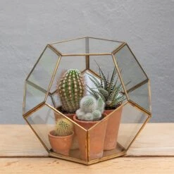 Pentagon Terrarium With Tray Base 9 Pentagon Terrarium With Tray Base -KANG Plants Shop pr2000037499 card3 lg