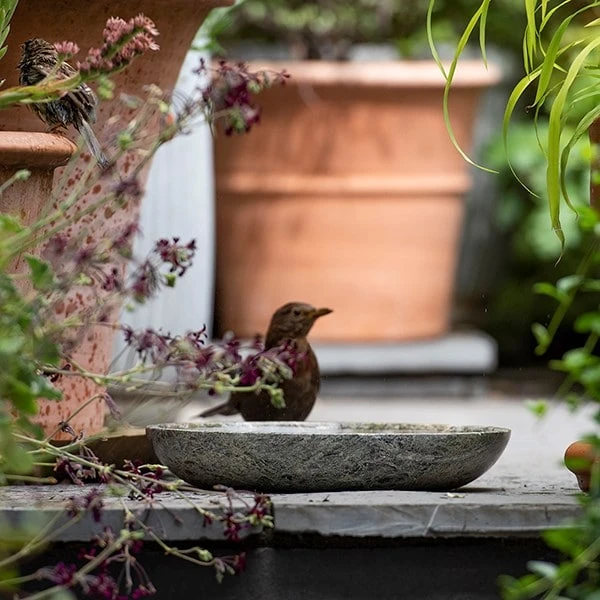 Turned Green Marble Bird Bowl 6 Turned Green Marble Bird Bowl - Image 4