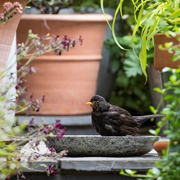 Turned Green Marble Bird Bowl 7 Turned Green Marble Bird Bowl - Image 5