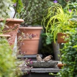 Turned Green Marble Bird Bowl 19 Turned Green Marble Bird Bowl -KANG Plants Shop pr2000037502 card9 lg