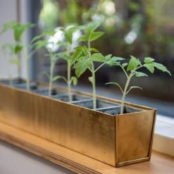 Brass Windowsill Tray With 6 Grow Pods -KANG Plants Shop pr2000037506 card5 lg
