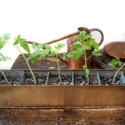 Brass Windowsill Tray With 6 Grow Pods -KANG Plants Shop pr2000037506 card6 lg