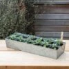 Galvanised Tray With 12 Large Grow Pods -KANG Plants Shop pr2000037508