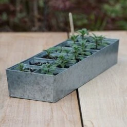 Galvanised Tray With 12 Large Grow Pods 11 Galvanised Tray With 12 Large Grow Pods -KANG Plants Shop pr2000037508 card3 lg