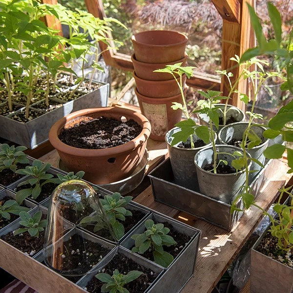 Galvanised Tray With 12 Large Grow Pods 9 Galvanised Tray With 12 Large Grow Pods - Image 7