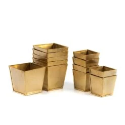 Brass Pots - Set Of 6 -KANG Plants Shop pr2000037511 card3 lg