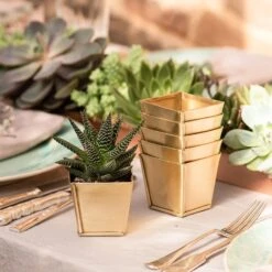 Brass Pots - Set Of 6 -KANG Plants Shop pr2000037511 card5 lg