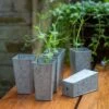 Tall Galvanised Root Trainer Pots - Set Of 6 1 Tall Galvanised Root Trainer Pots - Set Of 6 -KANG Plants Shop pr2000037515