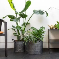 Round Troughs With Blackened Handles - Set Of 2 -KANG Plants Shop pr2000037523 card4 lg