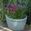 Oval Zinc Dolly Tub Pot 2 Oval Zinc Dolly Tub Pot -KANG Plants Shop pr2000037524