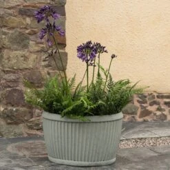 Oval Zinc Dolly Tub Pot -KANG Plants Shop pr2000037524 card6 lg