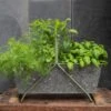 Portable Planting Trough - Crocus Green Frame 1 Portable Planting Trough - Crocus Green Frame -KANG Plants Shop pr2000037525