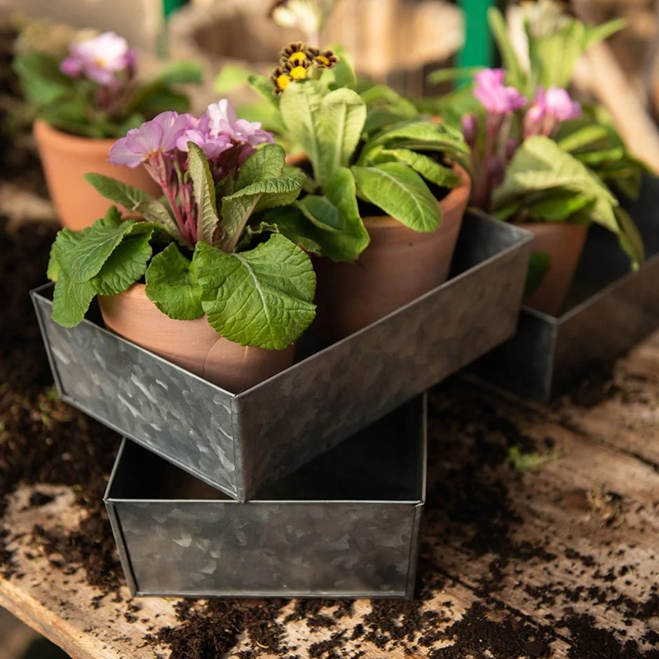 Grow Trays Portrait - Set Of 3 3 Grow Trays Portrait - Set Of 3