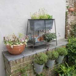 Trough Stand With Shelf - Long -KANG Plants Shop pr2000037547 card4 lg