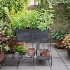 Trough Stand With Shelf - Long -KANG Plants Shop pr2000037547 card6 lg