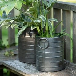 Galvanised Cylinder Pot -KANG Plants Shop pr2000037551 card2 lg