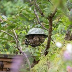 Birdie Fat Snax Feeder - Crocus Green -KANG Plants Shop pr2000037554 card3 lg