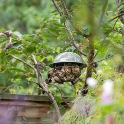Birdie Fat Snax Feeder - Crocus Green -KANG Plants Shop pr2000037554 card6 lg