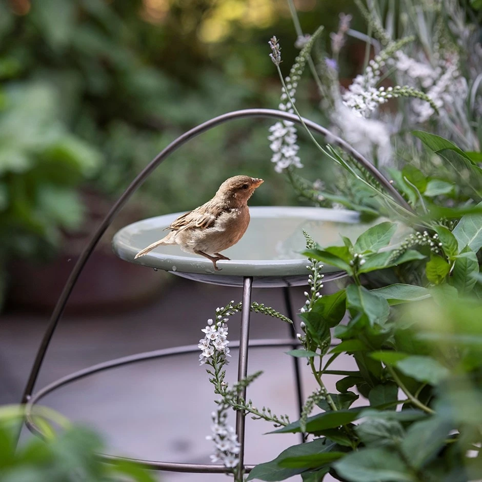 Plant Support With Bird Bowl - Crocus Green 3 Plant Support With Bird Bowl - Crocus Green