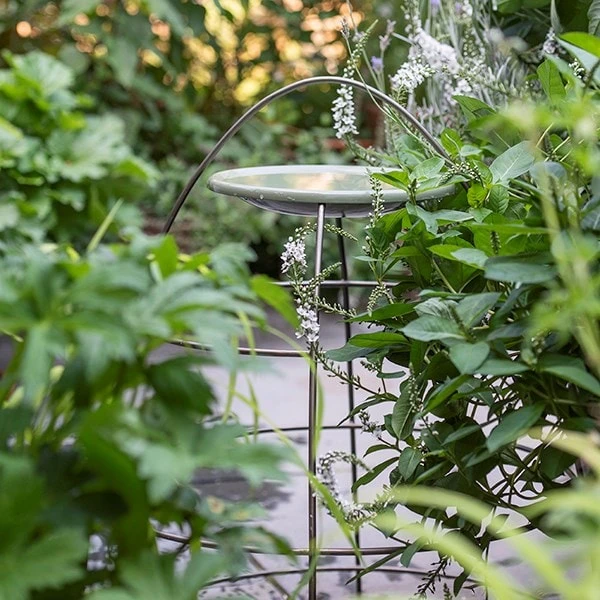 Plant Support With Bird Bowl - Crocus Green 4 Plant Support With Bird Bowl - Crocus Green - Image 2