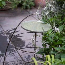 Plant Support With Bird Bowl - Crocus Green 10 Plant Support With Bird Bowl - Crocus Green -KANG Plants Shop pr2000037555 card4 lg