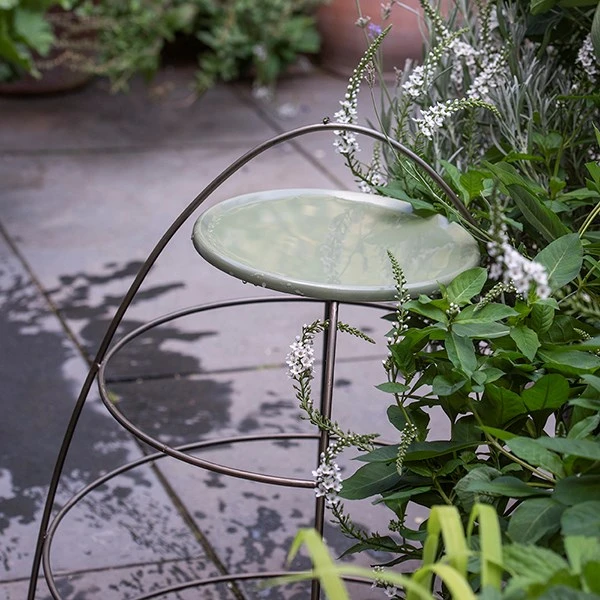 Plant Support With Bird Bowl - Crocus Green 6 Plant Support With Bird Bowl - Crocus Green - Image 4
