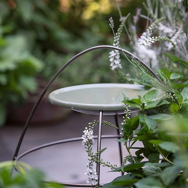 Plant Support With Bird Bowl - Crocus Green 7 Plant Support With Bird Bowl - Crocus Green - Image 5