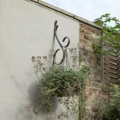 Scroll Wall Hook - Graphite 7 Scroll Wall Hook - Graphite -KANG Plants Shop pr2000037558 card4 lg