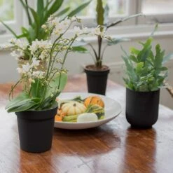 Charcoal Metal Plant Pot Cover With Enamel Interior 12 Charcoal Metal Plant Pot Cover With Enamel Interior -KANG Plants Shop pr2000037568 card5 lg