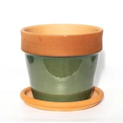 Natural Terracotta Saucer 8 Natural Terracotta Saucer -KANG Plants Shop pr2000037584 card2 lg