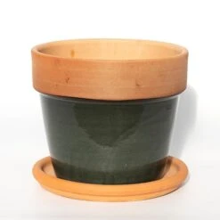Natural Terracotta Saucer 9 Natural Terracotta Saucer -KANG Plants Shop pr2000037584 card3 lg