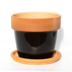Natural Terracotta Saucer 10 Natural Terracotta Saucer -KANG Plants Shop pr2000037584 card4 lg