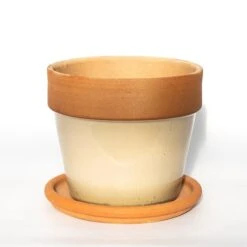 Natural Terracotta Saucer 11 Natural Terracotta Saucer -KANG Plants Shop pr2000037584 card5 lg