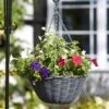 Slate Faux Rattan Hanging Basket -KANG Plants Shop pr2000037974